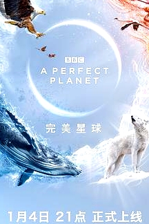 完美星球