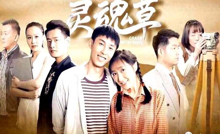 灵魂草